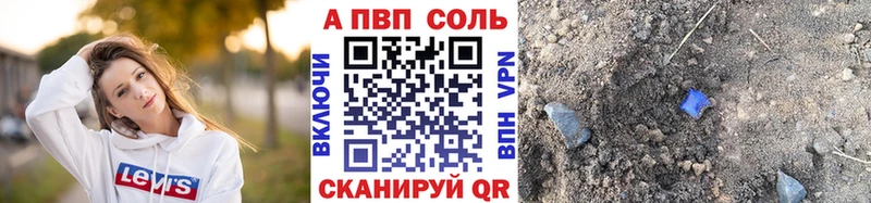 A PVP СК  Саранск 