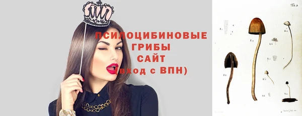 сатива Абдулино