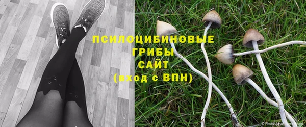 мескалин Алексин
