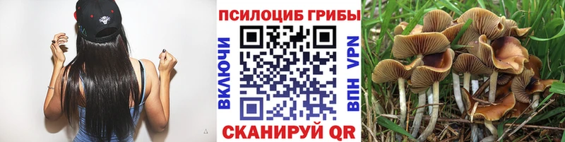 Галлюциногенные грибы GOLDEN TEACHER  где продают   Саранск 