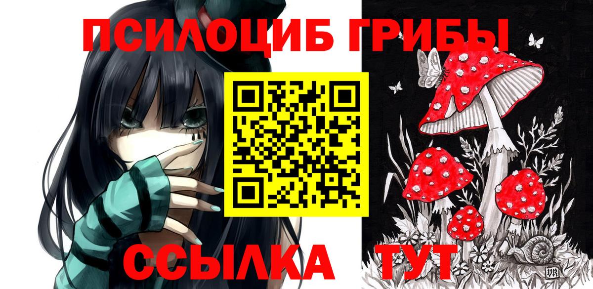Гашиш Саранск