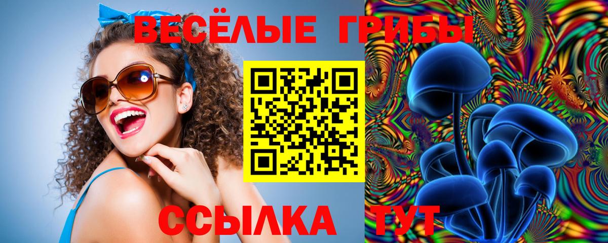 Псилоцибиновые грибы ЛСД  Галлюциногенные грибы мицелий  Саранск  Вход с VPN 